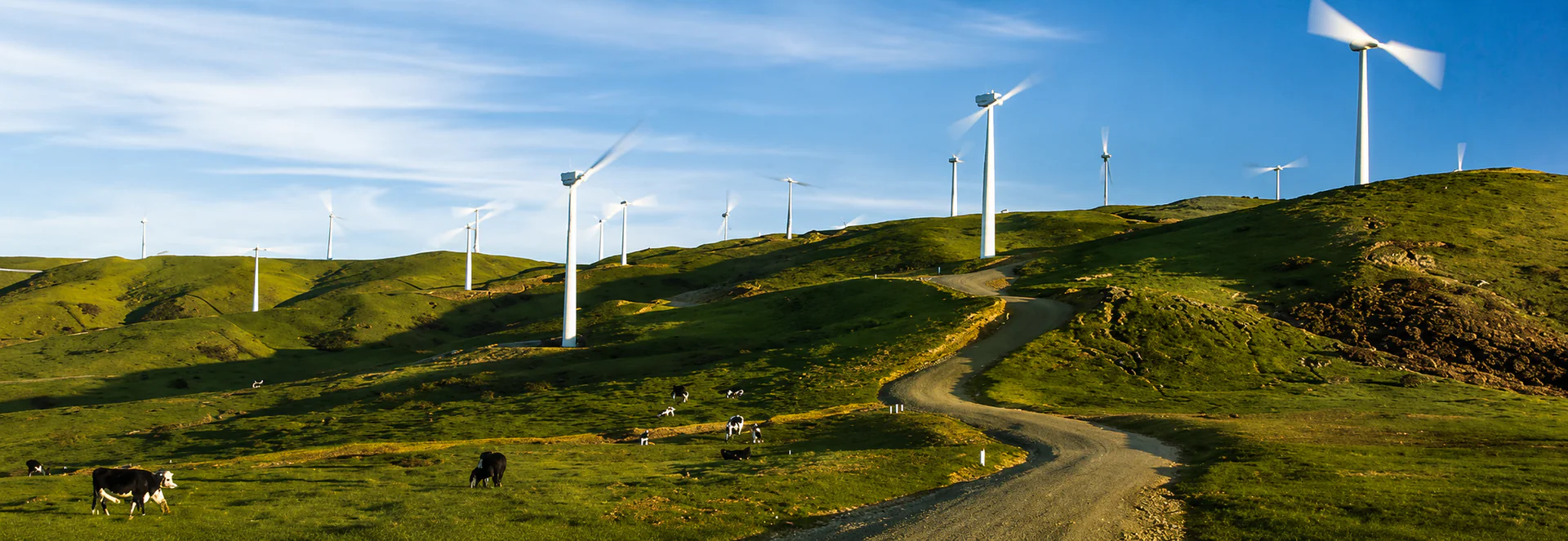 Illustration of wind turbines across green hills
